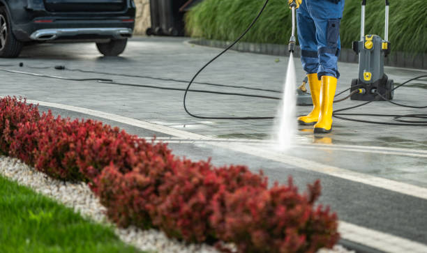 Animal Enclosure Cleaning in Oakland, PA